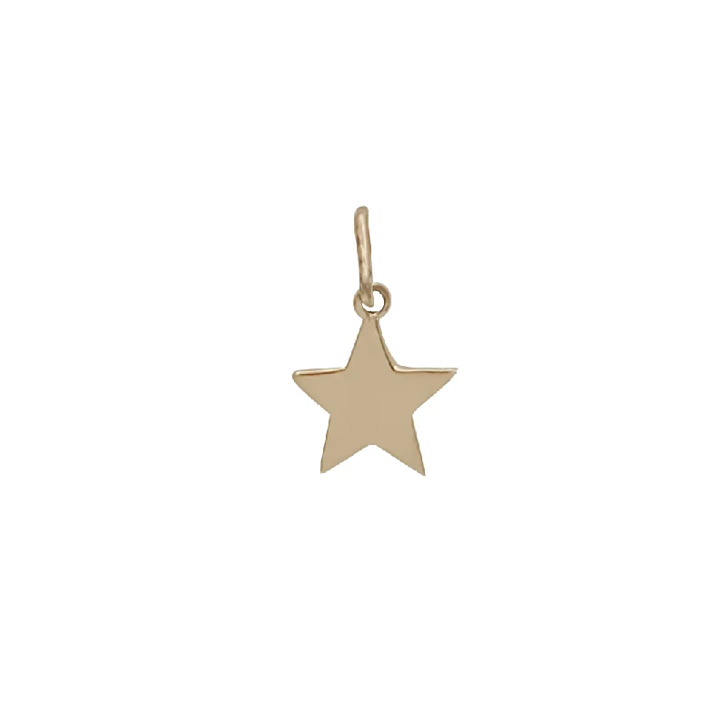 Water - Resistant Stainless Steel Diving - Themed Pendant for DiversPlain Star Pendant (14K)